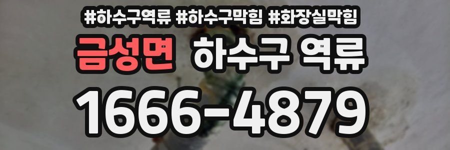 금성면 하수구 역류