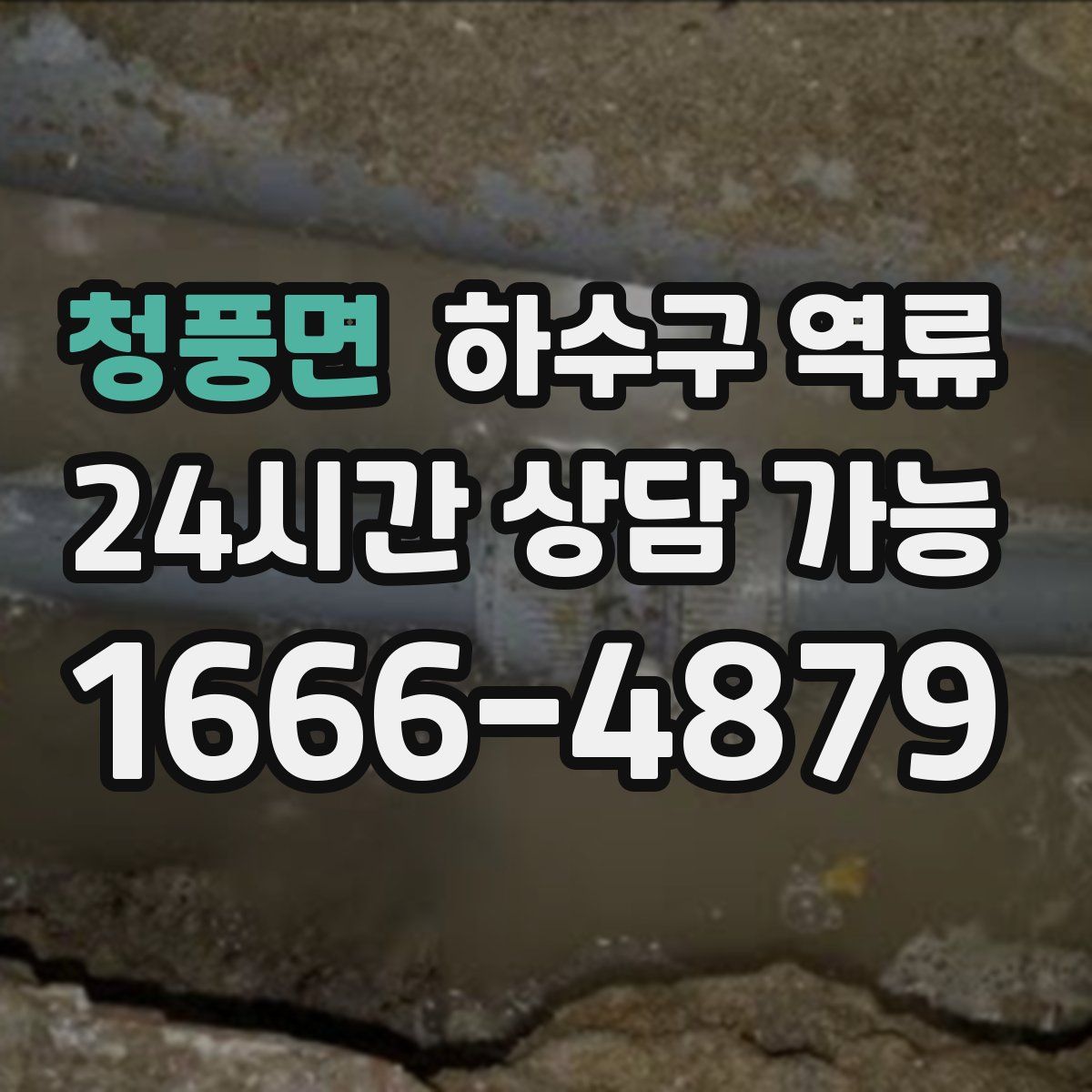 청풍면 하수구 역류