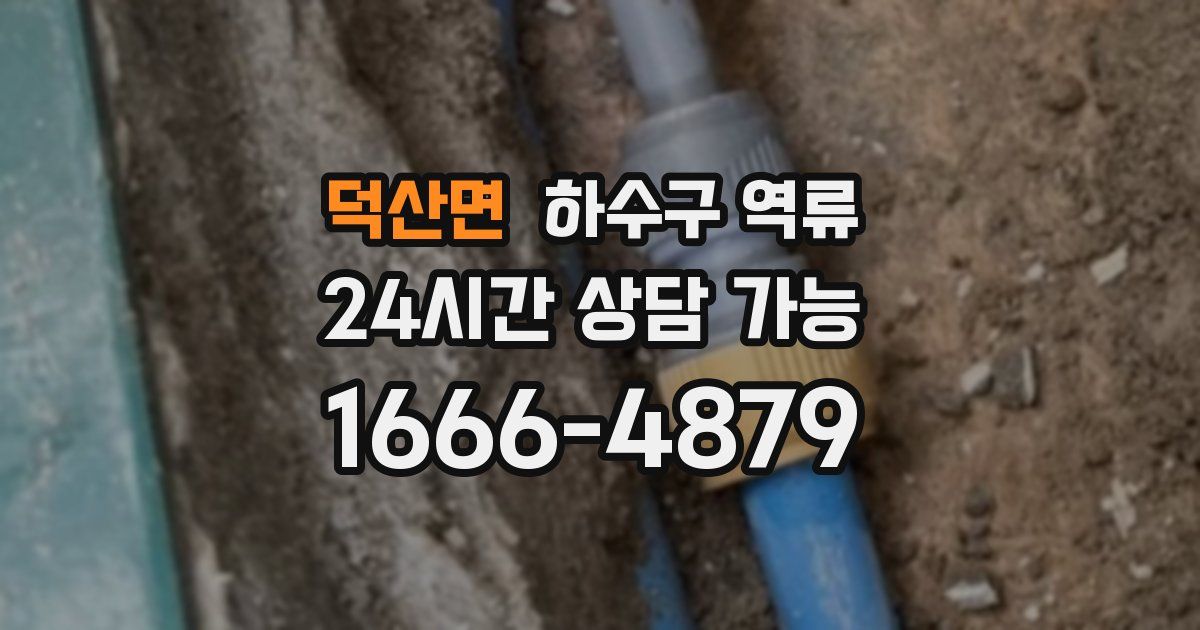 덕산면 하수구 역류