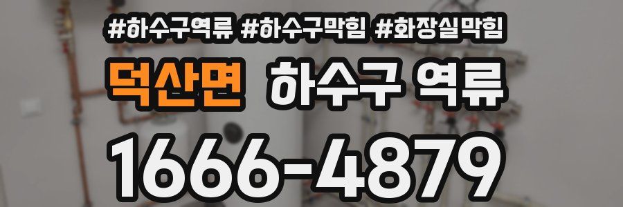 덕산면 하수구 역류