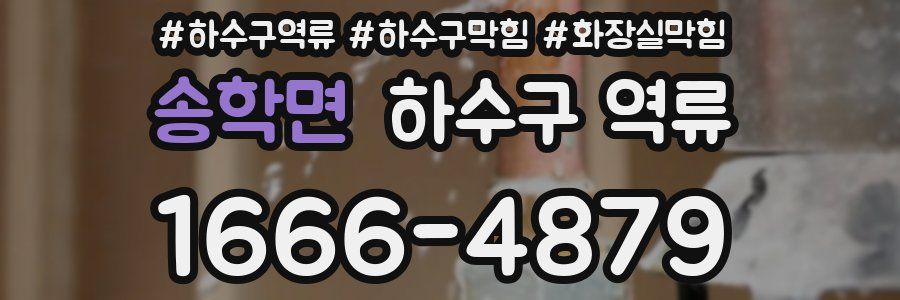 송학면 하수구 역류