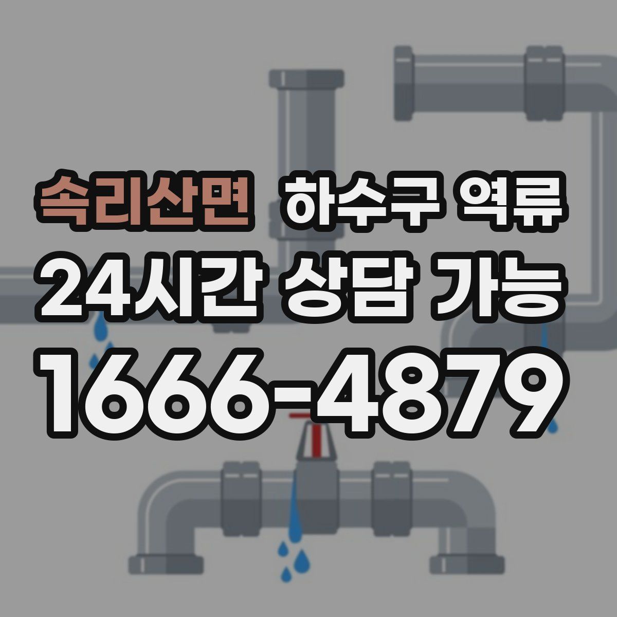 속리산면 하수구 역류