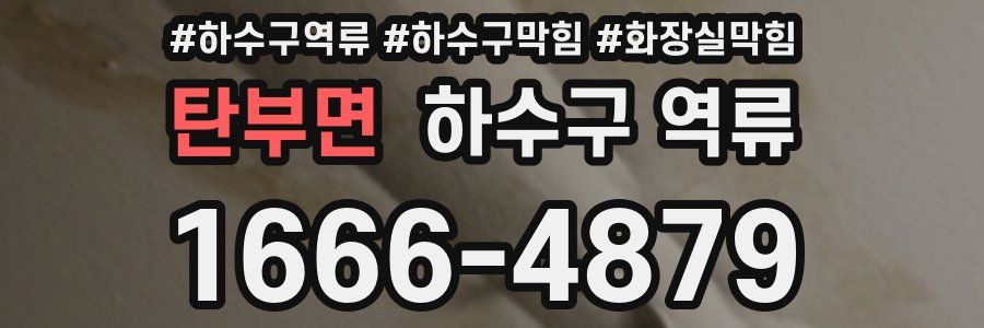 탄부면 하수구 역류