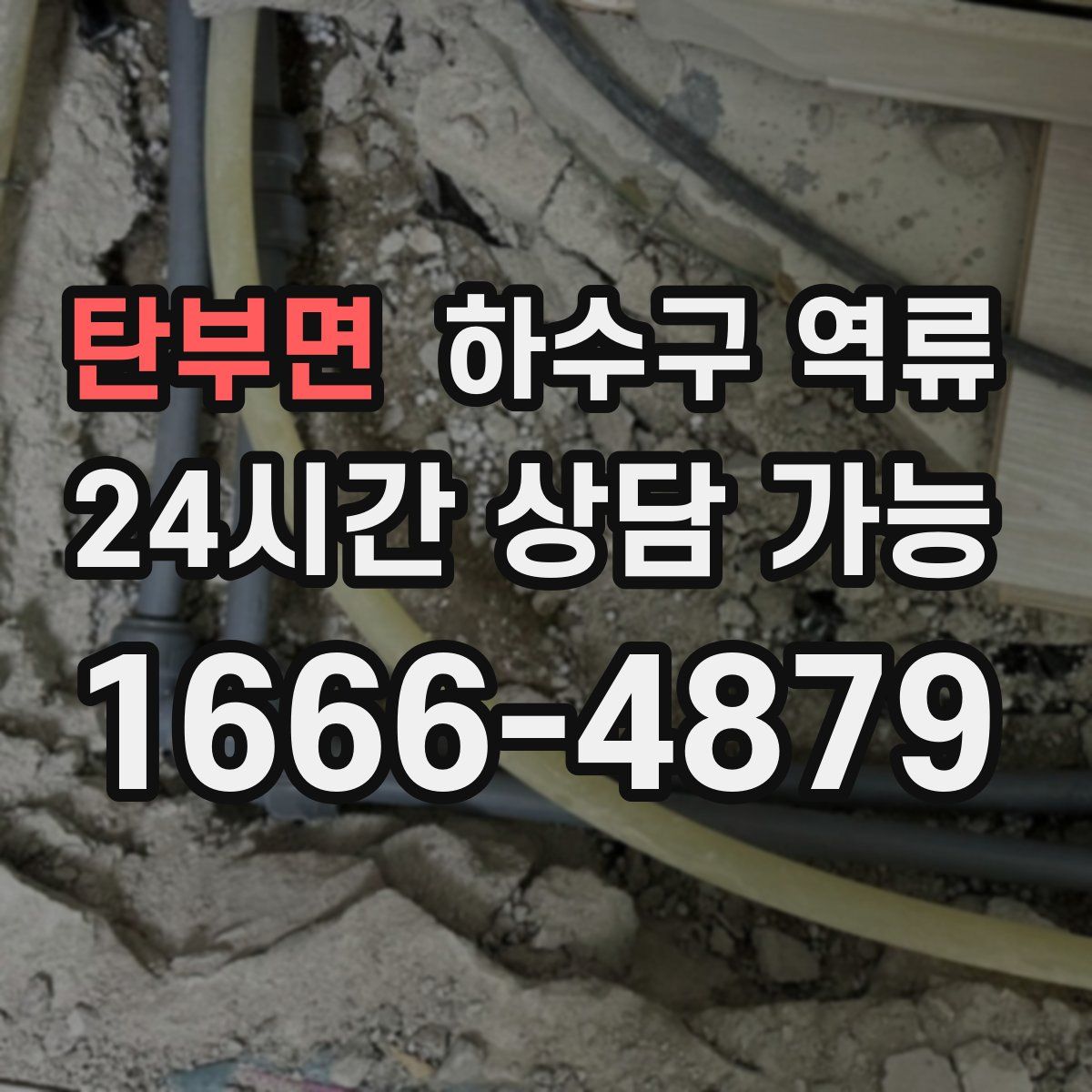 탄부면 하수구 역류