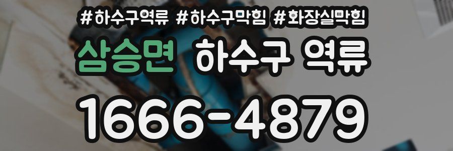 삼승면 하수구 역류