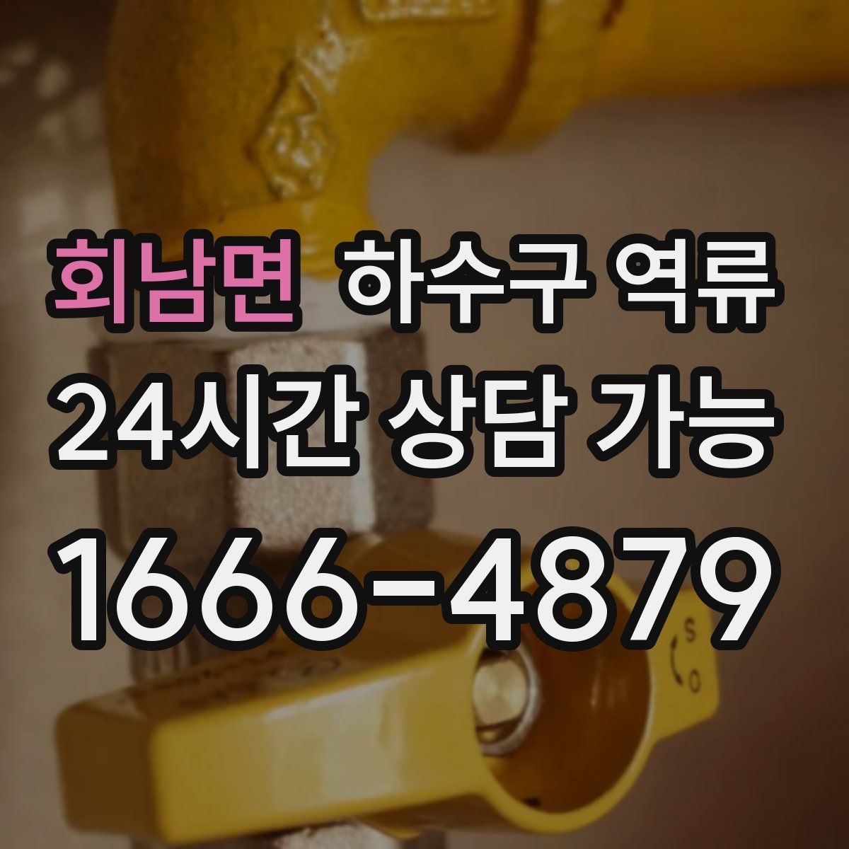 회남면 하수구 역류