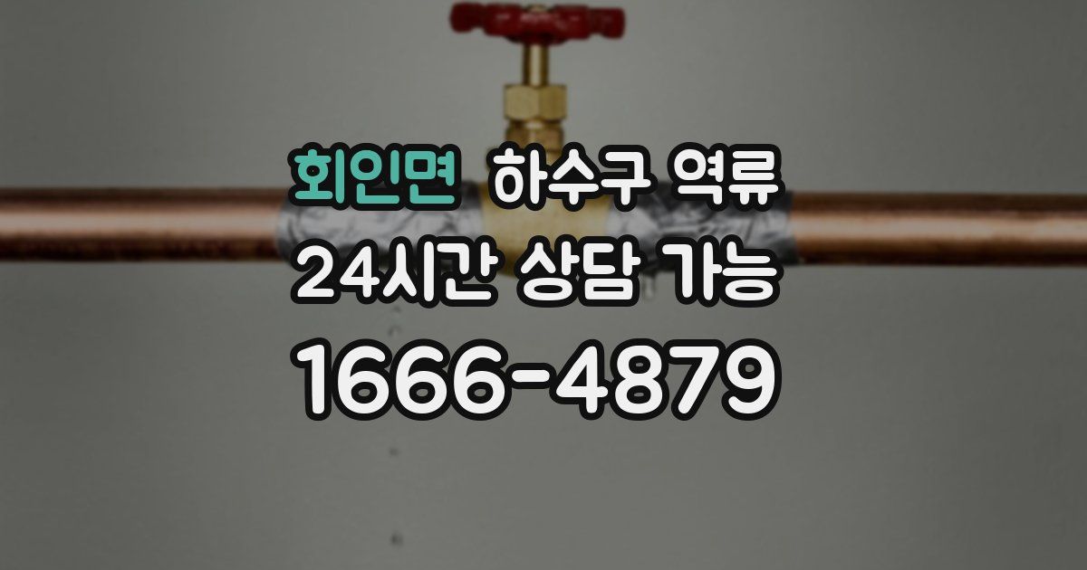 회인면 하수구 역류