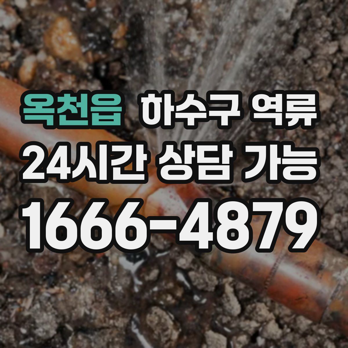 옥천읍 하수구 역류