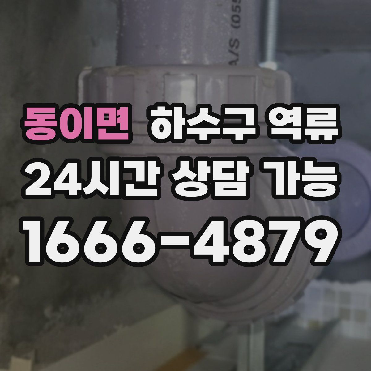 동이면 하수구 역류