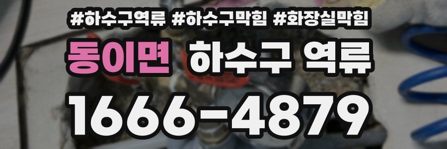 동이면 하수구 역류