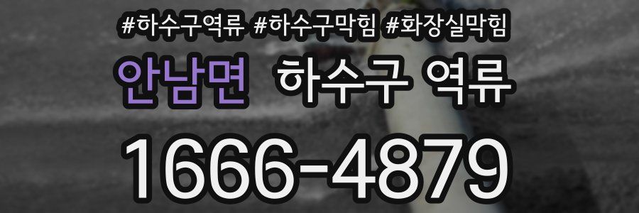 안남면 하수구 역류