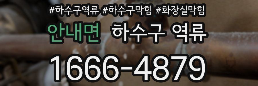 안내면 하수구 역류