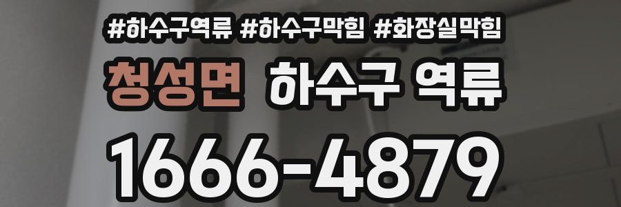 청성면 하수구 역류