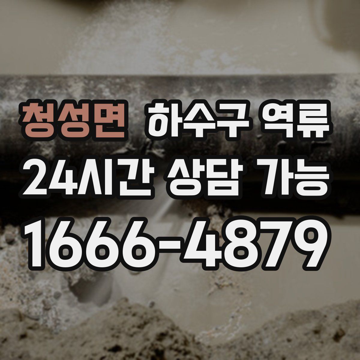 청성면 하수구 역류