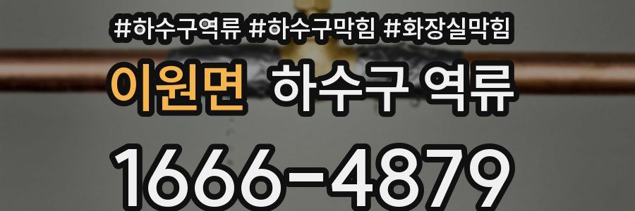 이원면 하수구 역류