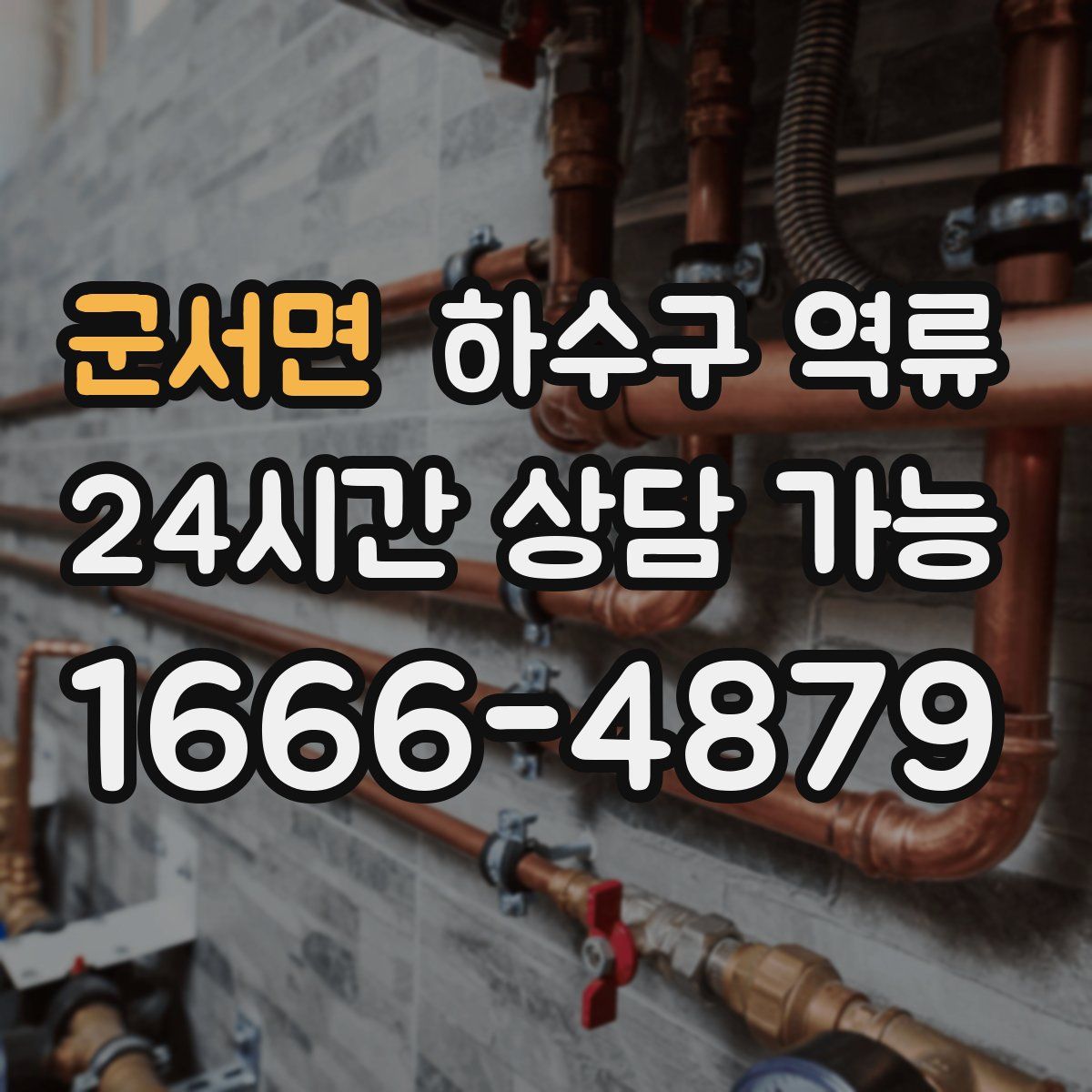 군서면 하수구 역류