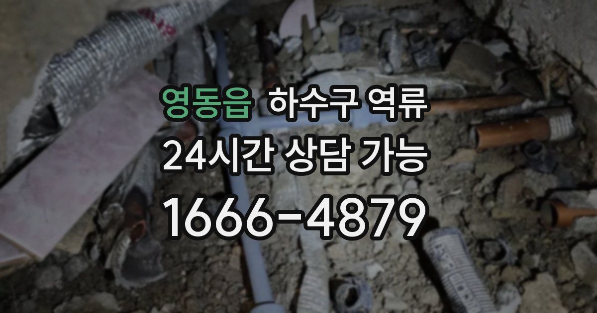 영동읍 하수구 역류