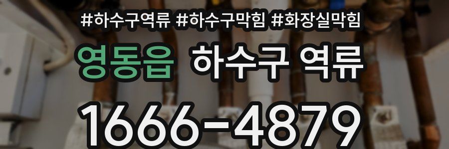 영동읍 하수구 역류