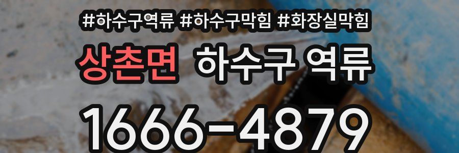 상촌면 하수구 역류