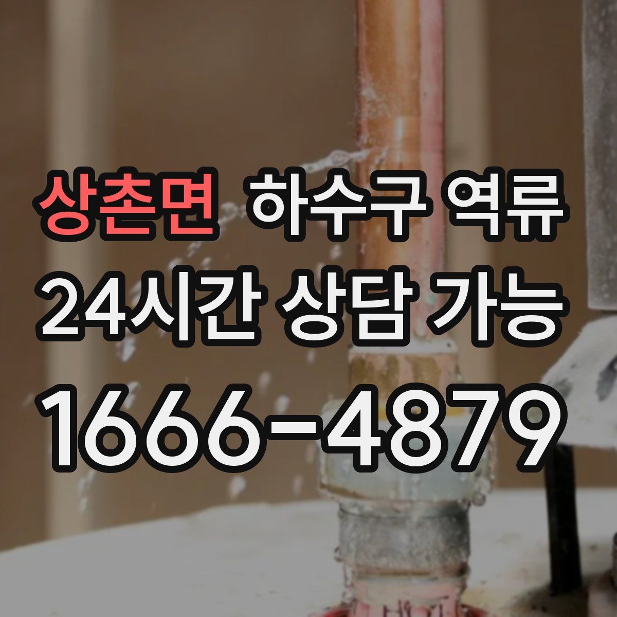 상촌면 하수구 역류