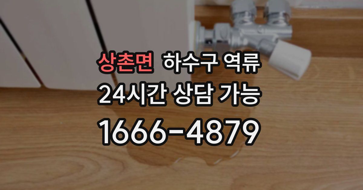 상촌면 하수구 역류