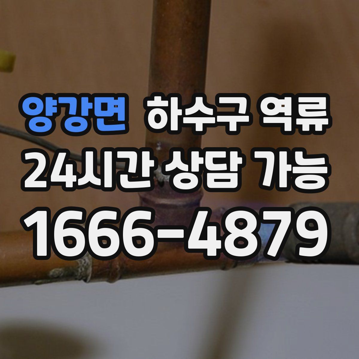 양강면 하수구 역류