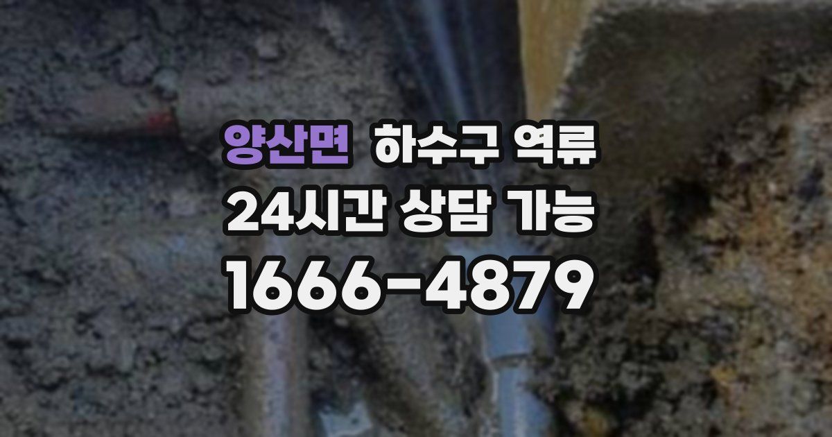 양산면 하수구 역류