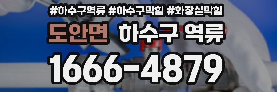 도안면 하수구 역류