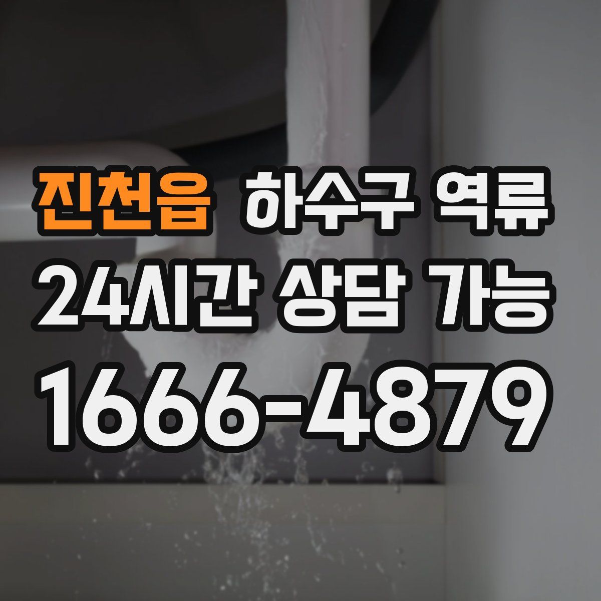 진천읍 하수구 역류
