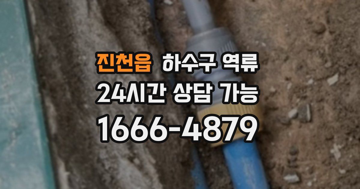 진천읍 하수구 역류