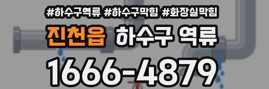 진천읍 하수구 역류