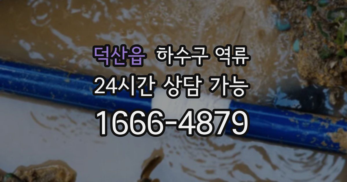 덕산읍 하수구 역류