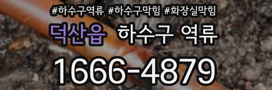 덕산읍 하수구 역류