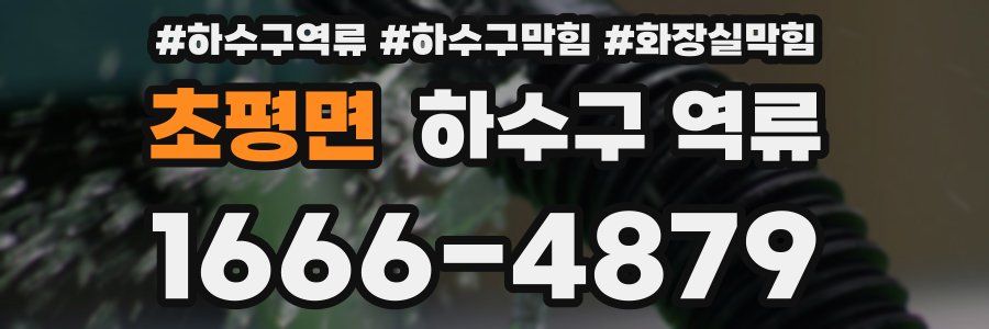 초평면 하수구 역류