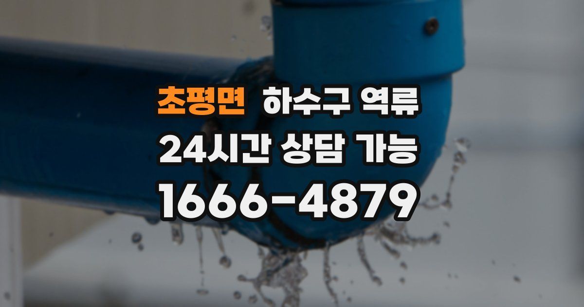 초평면 하수구 역류
