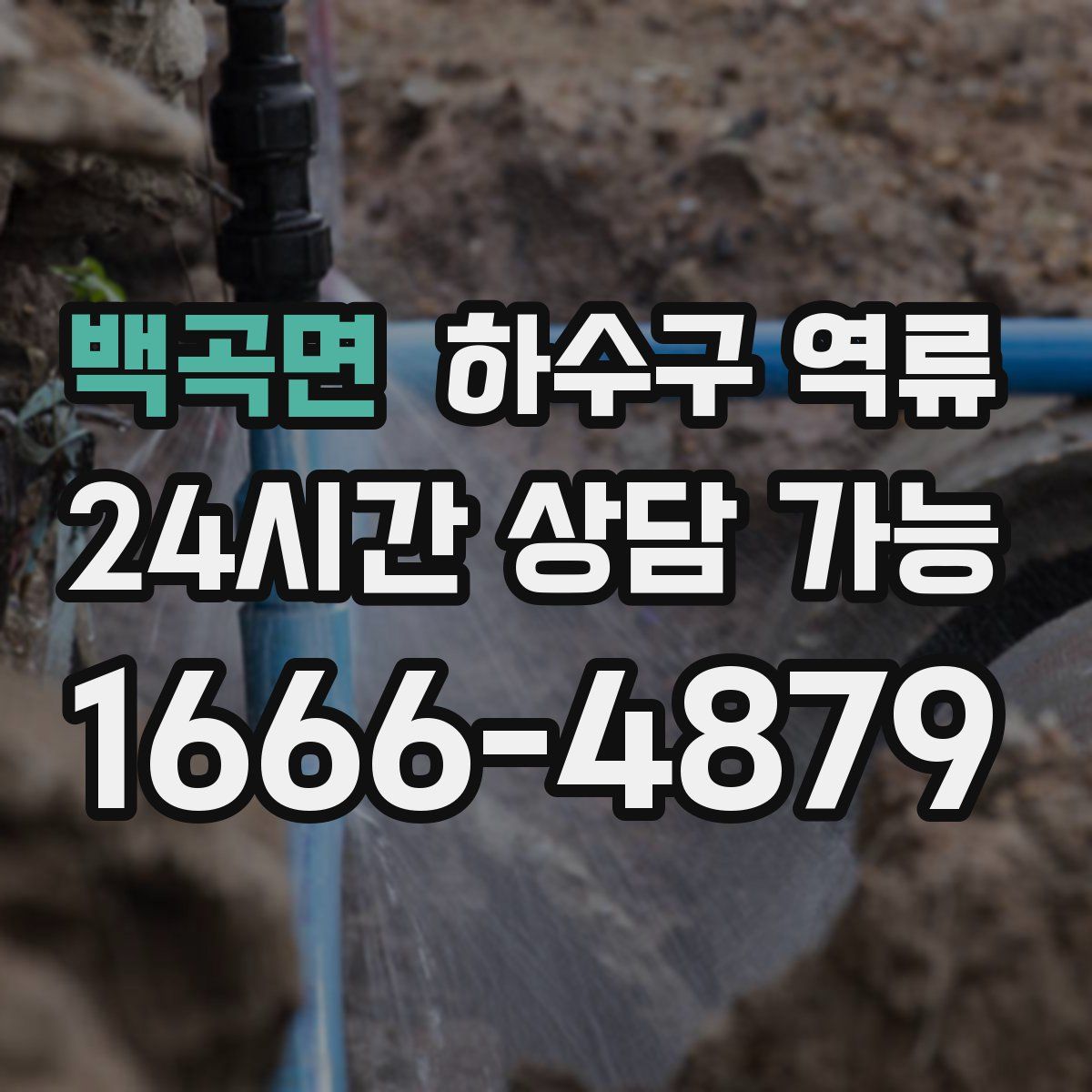 백곡면 하수구 역류