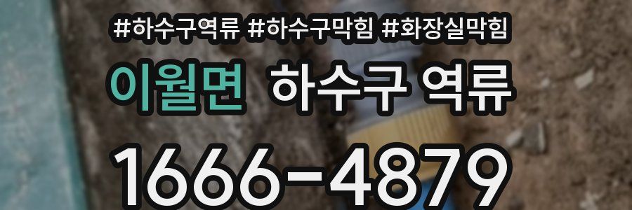 이월면 하수구 역류