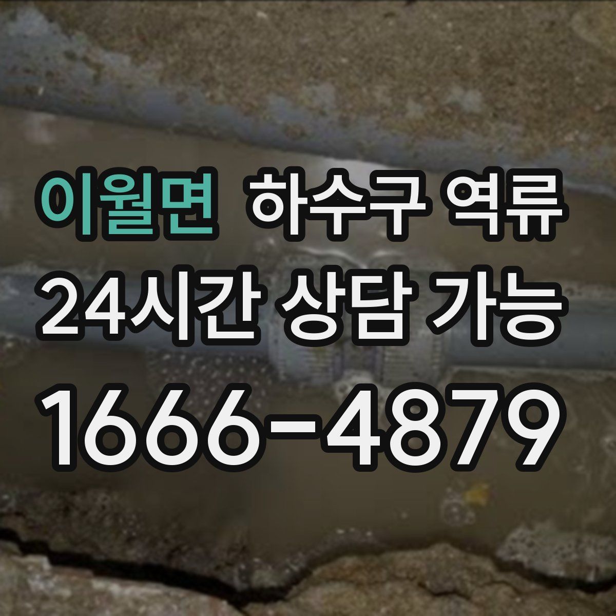 이월면 하수구 역류