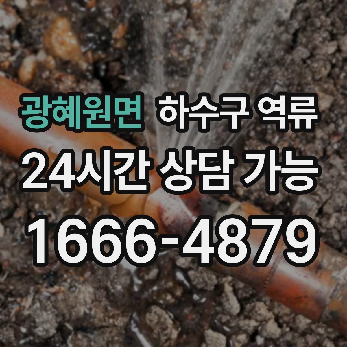 광혜원면 하수구 역류