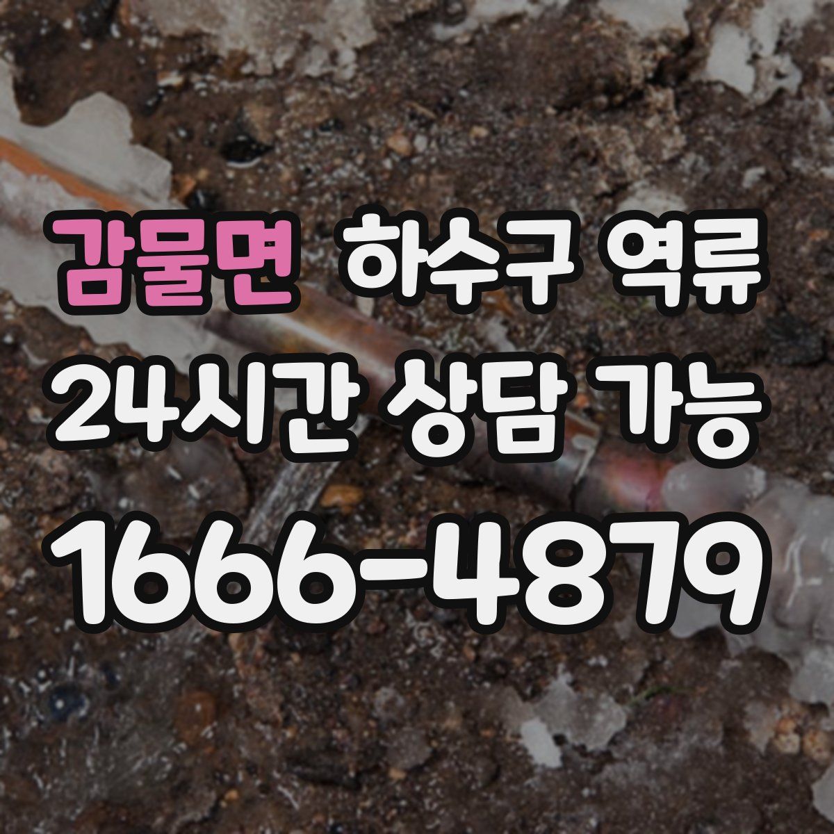 감물면 하수구 역류