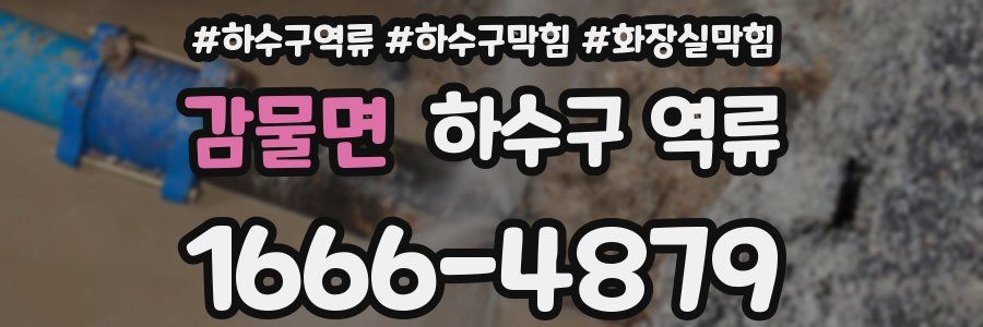 감물면 하수구 역류