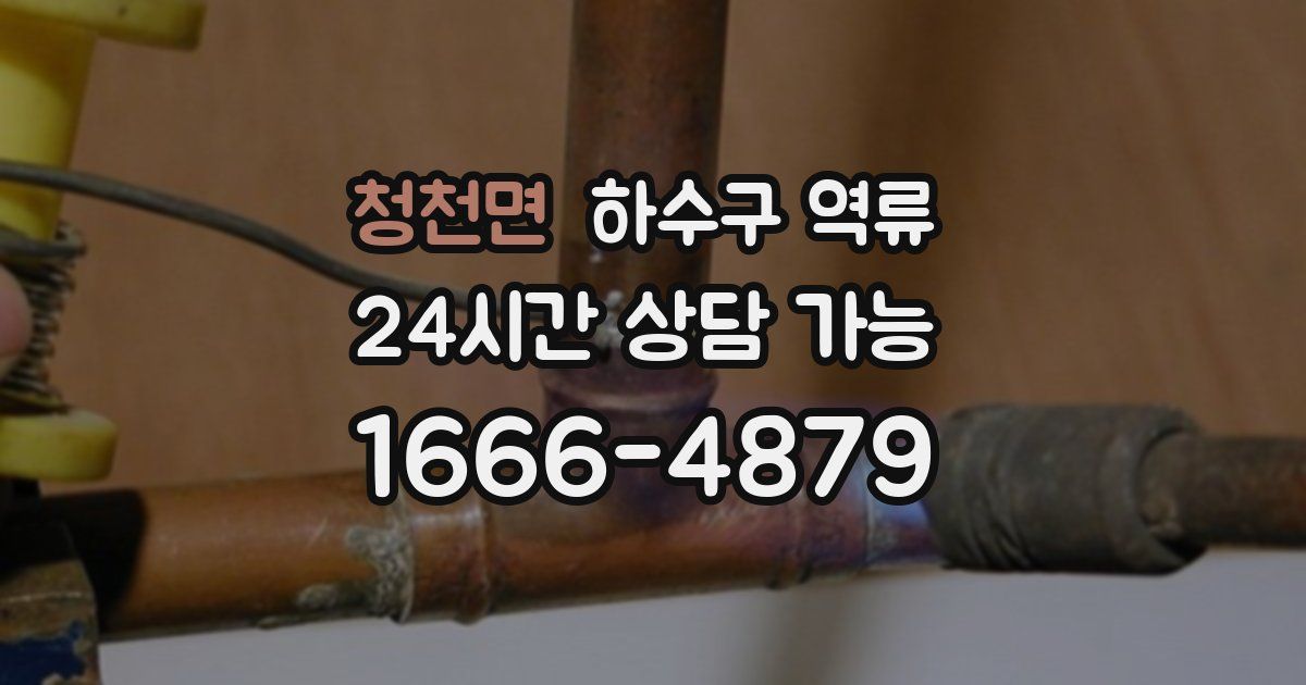 청천면 하수구 역류