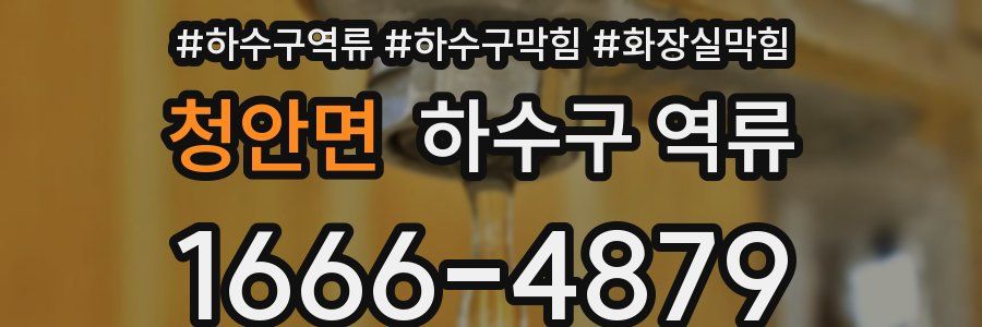 청안면 하수구 역류