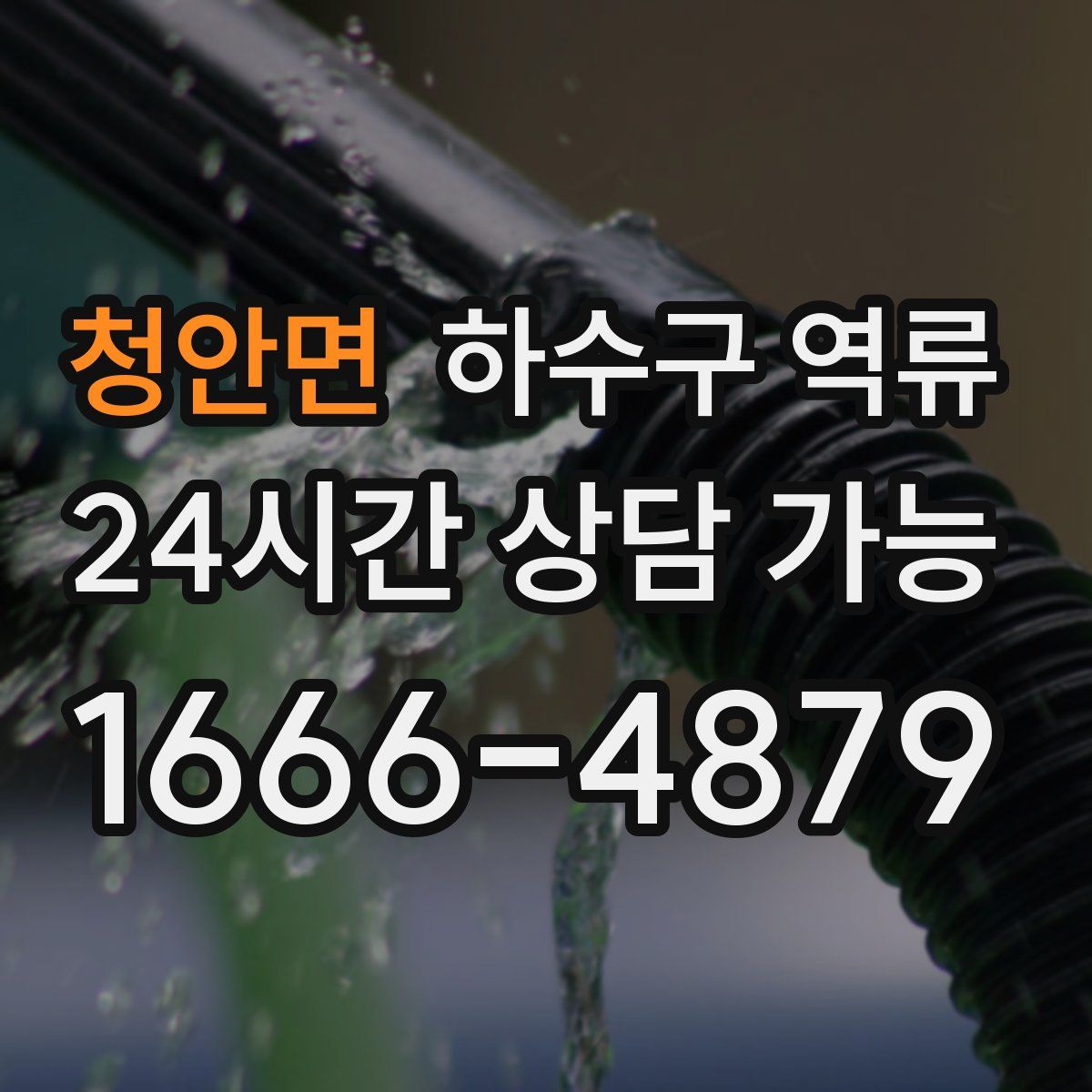 청안면 하수구 역류