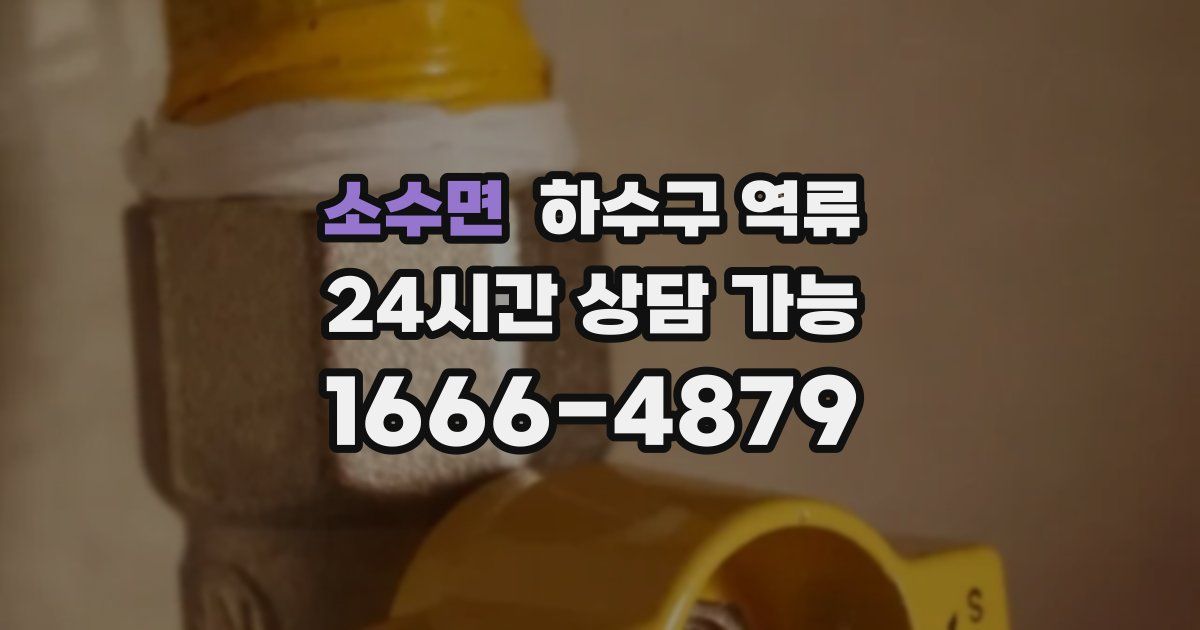 소수면 하수구 역류