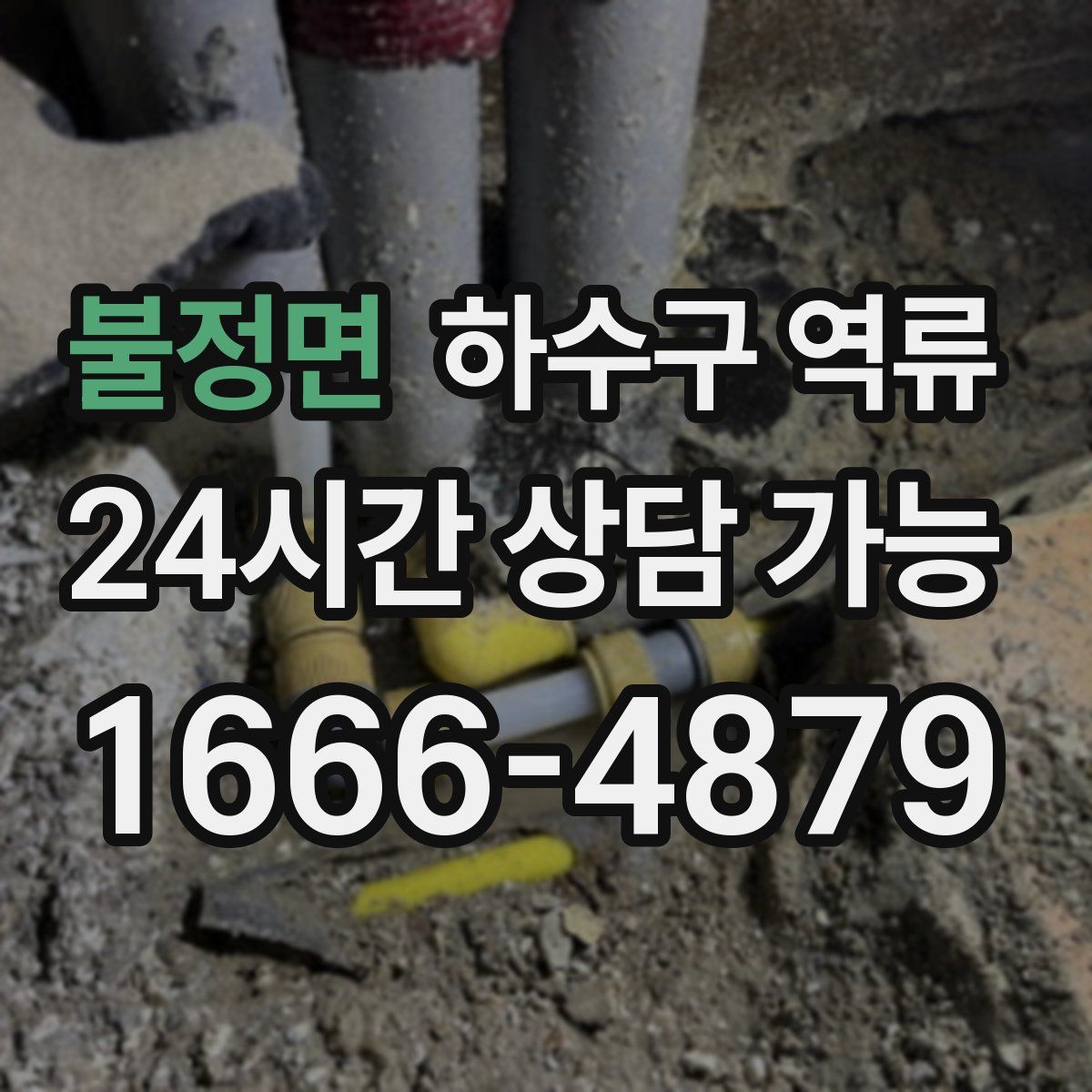 불정면 하수구 역류