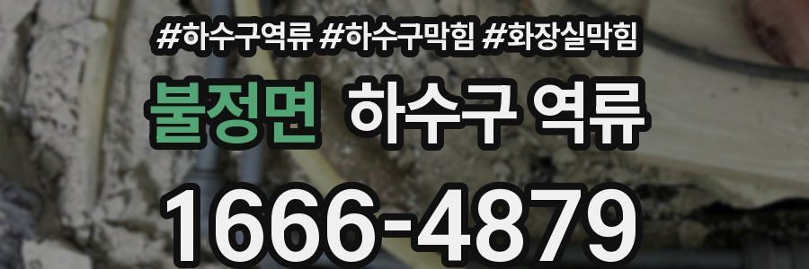 불정면 하수구 역류