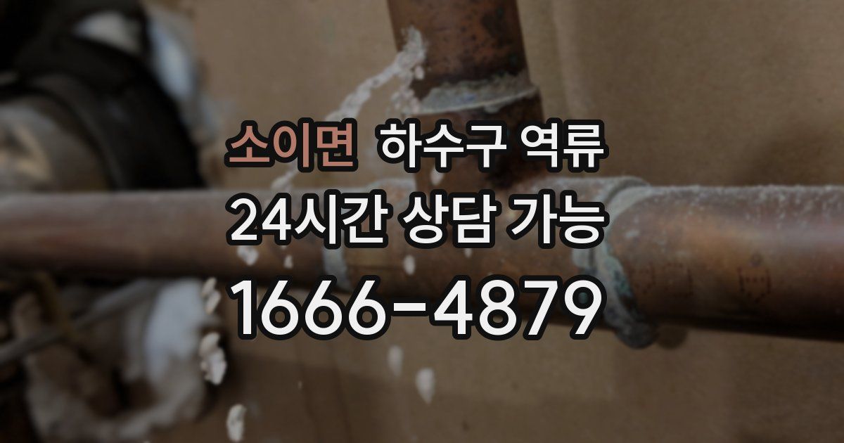 소이면 하수구 역류