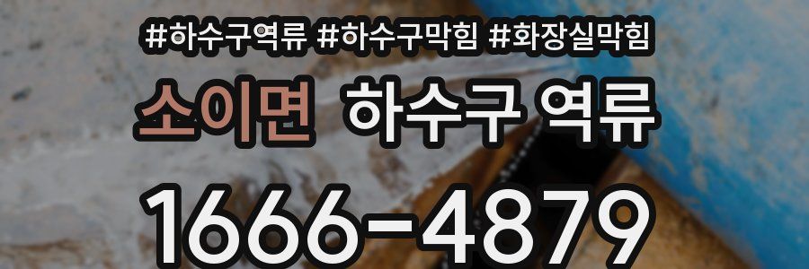 소이면 하수구 역류