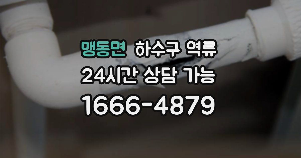 맹동면 하수구 역류